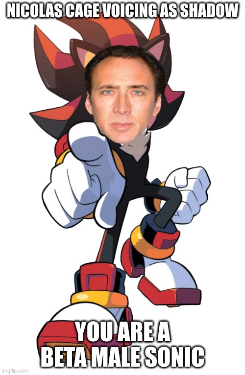 shadow cage 2 | NICOLAS CAGE VOICING AS SHADOW; YOU ARE A BETA MALE SONIC | image tagged in funny | made w/ Imgflip meme maker