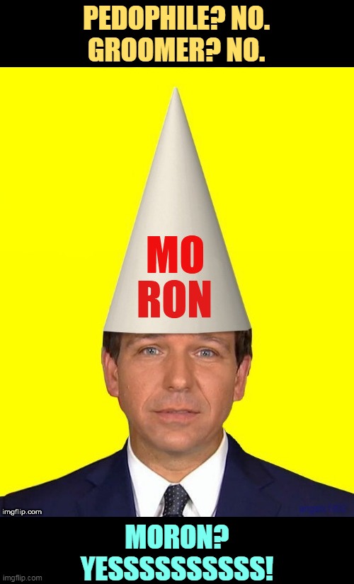 Ron DeSantis Moron, what the country doesn't need | PEDOPHILE? NO.
GROOMER? NO. MORON?
YESSSSSSSSSS! | image tagged in ron desantis moron what the country doesn't need,ron desantis,moron | made w/ Imgflip meme maker