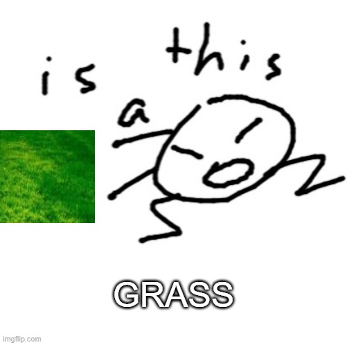 touch it | GRASS | image tagged in is this a | made w/ Imgflip meme maker