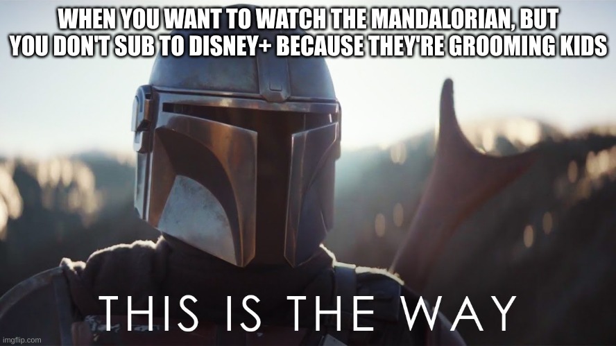The way Darth Vader would want it | WHEN YOU WANT TO WATCH THE MANDALORIAN, BUT YOU DON'T SUB TO DISNEY+ BECAUSE THEY'RE GROOMING KIDS | image tagged in this is the way | made w/ Imgflip meme maker