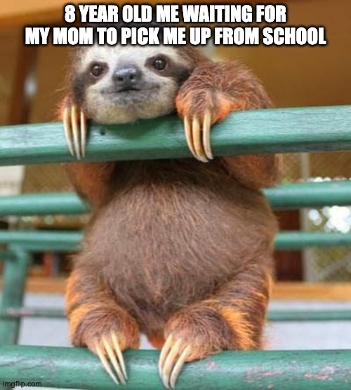 Cute sloth | 8 YEAR OLD ME WAITING FOR MY MOM TO PICK ME UP FROM SCHOOL | image tagged in cute sloth | made w/ Imgflip meme maker