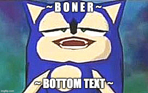 Sonic | ~ B O N E R ~; ~ BOTTOM TEXT ~ | image tagged in yes | made w/ Imgflip meme maker