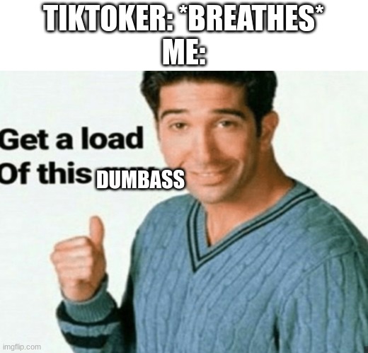 clever title | TIKTOKER: *BREATHES*
ME:; DUMBASS | image tagged in get a load of this guy | made w/ Imgflip meme maker