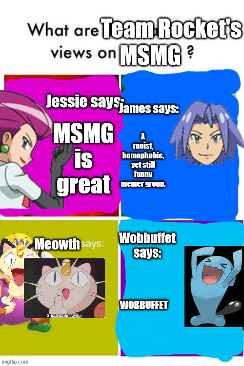 Team Rocket's Views | MSMG; MSMG is great; A racist, homophobic, yet still funny memer group. WOBBUFFET | image tagged in team rocket's views | made w/ Imgflip meme maker