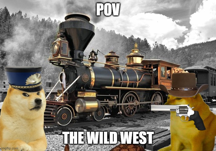 the wild west | POV; THE WILD WEST | image tagged in western | made w/ Imgflip meme maker