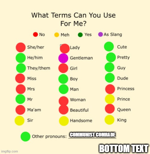 Pronouns Sheet | COMMUNIST COMRADE; BOTTOM TEXT | image tagged in pronouns sheet | made w/ Imgflip meme maker
