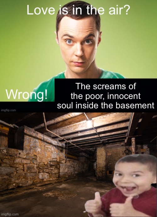 The screams of the poor, innocent soul inside the basement | image tagged in love is in the air wrong x,basement | made w/ Imgflip meme maker