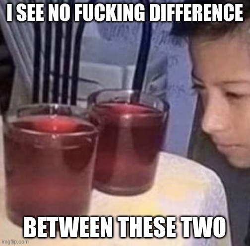Same thing | I SEE NO FUCKING DIFFERENCE BETWEEN THESE TWO | image tagged in same thing | made w/ Imgflip meme maker