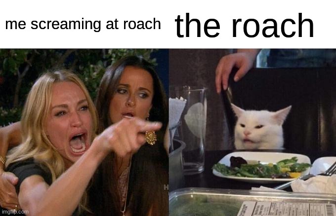 Woman Yelling At Cat | me screaming at roach; the roach | image tagged in memes,woman yelling at cat | made w/ Imgflip meme maker