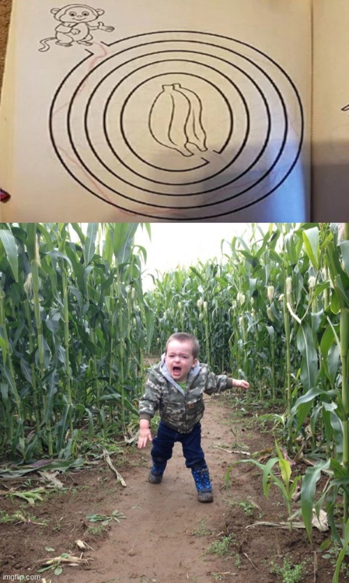 am lost | image tagged in corn maze kid | made w/ Imgflip meme maker