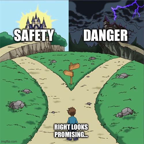 literally every horror movie | SAFETY; DANGER; RIGHT LOOKS PROMISING... | image tagged in two paths | made w/ Imgflip meme maker