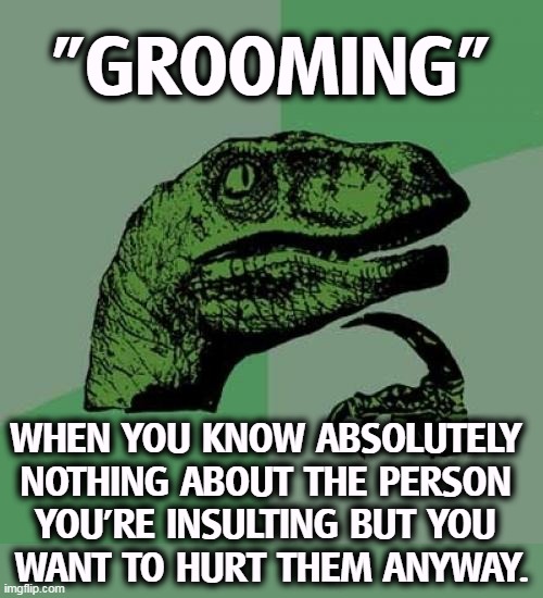 "Grooming" means you know nothing about nothing and are dying to display your ignorance to the world. | "GROOMING"; WHEN YOU KNOW ABSOLUTELY 
NOTHING ABOUT THE PERSON 
YOU'RE INSULTING BUT YOU 
WANT TO HURT THEM ANYWAY. | image tagged in memes,philosoraptor,grooming,empty,insult | made w/ Imgflip meme maker