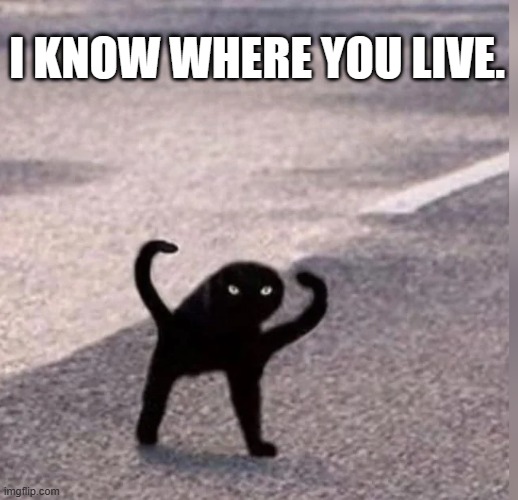 Cursed Cat. | I KNOW WHERE YOU LIVE. | image tagged in cursed cat,memes | made w/ Imgflip meme maker
