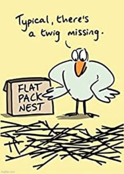 Flat pack nest | image tagged in nest,flat pack,twig missing,comics | made w/ Imgflip meme maker