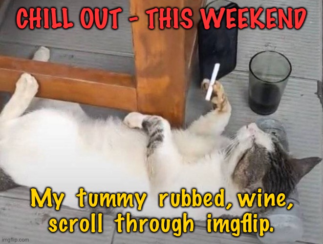 Chill out | CHILL OUT - THIS WEEKEND; My  tummy  rubbed, wine, scroll  through  imgflip. | image tagged in lazy weekend,chill out,tummy rub,wine,scroll imgflip | made w/ Imgflip meme maker