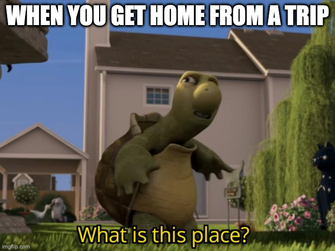 that get home feeling | WHEN YOU GET HOME FROM A TRIP | image tagged in what is this place | made w/ Imgflip meme maker