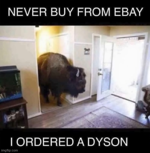 When you mishear what the person ordered: | image tagged in ebay,dyson,bison,misheard | made w/ Imgflip meme maker