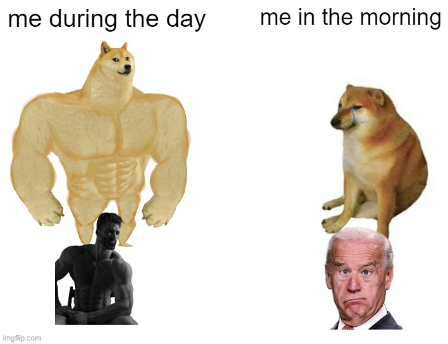 Buff Doge vs. Cheems | me during the day; me in the morning | image tagged in memes,buff doge vs cheems | made w/ Imgflip meme maker