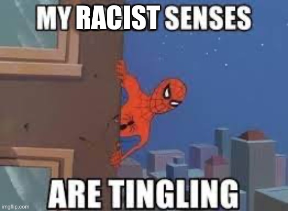 My Spidey Senses Are Tingling | RACIST | image tagged in my spidey senses are tingling | made w/ Imgflip meme maker