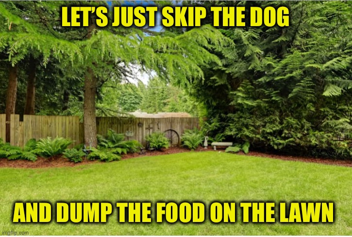 Sunny Backyard | LET’S JUST SKIP THE DOG AND DUMP THE FOOD ON THE LAWN | image tagged in sunny backyard | made w/ Imgflip meme maker