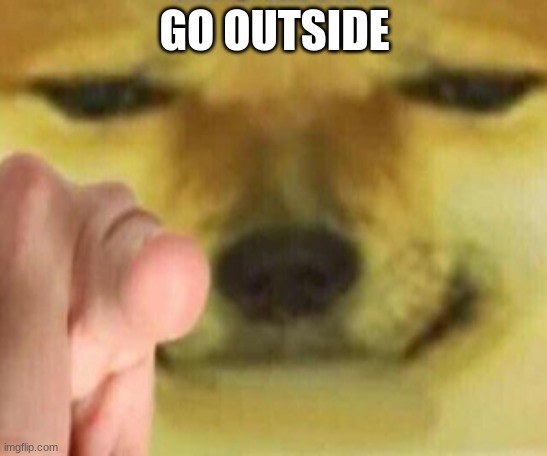 Cheems Pointing At You | GO OUTSIDE | image tagged in cheems pointing at you | made w/ Imgflip meme maker