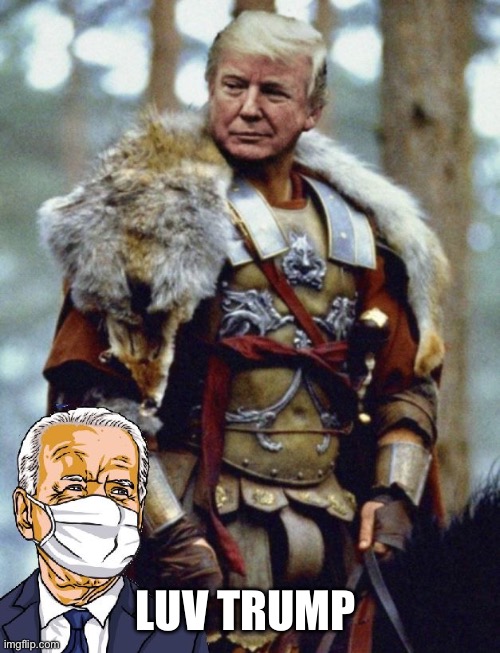 Trump’s so cool | LUV TRUMP | image tagged in trump s so cool | made w/ Imgflip meme maker