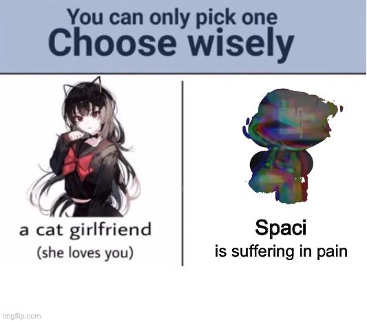 which one? | Spaci; is suffering in pain | image tagged in choose wisely | made w/ Imgflip meme maker