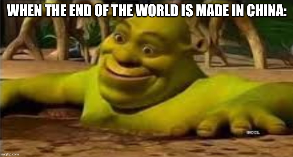 Made in china | WHEN THE END OF THE WORLD IS MADE IN CHINA: | image tagged in shrek,funny,made in china | made w/ Imgflip meme maker