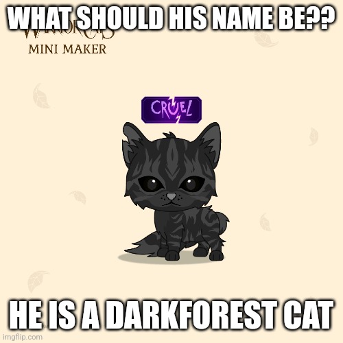 WHAT SHOULD HIS NAME BE?? HE IS A DARKFOREST CAT | made w/ Imgflip meme maker