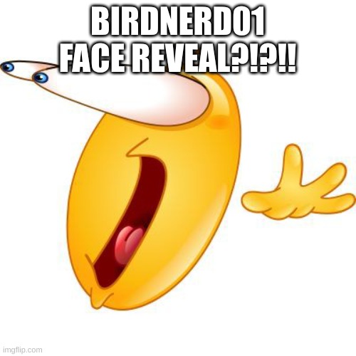 Surprised face emoji | BIRDNERD01 FACE REVEAL?!?!! | image tagged in surprised face emoji | made w/ Imgflip meme maker