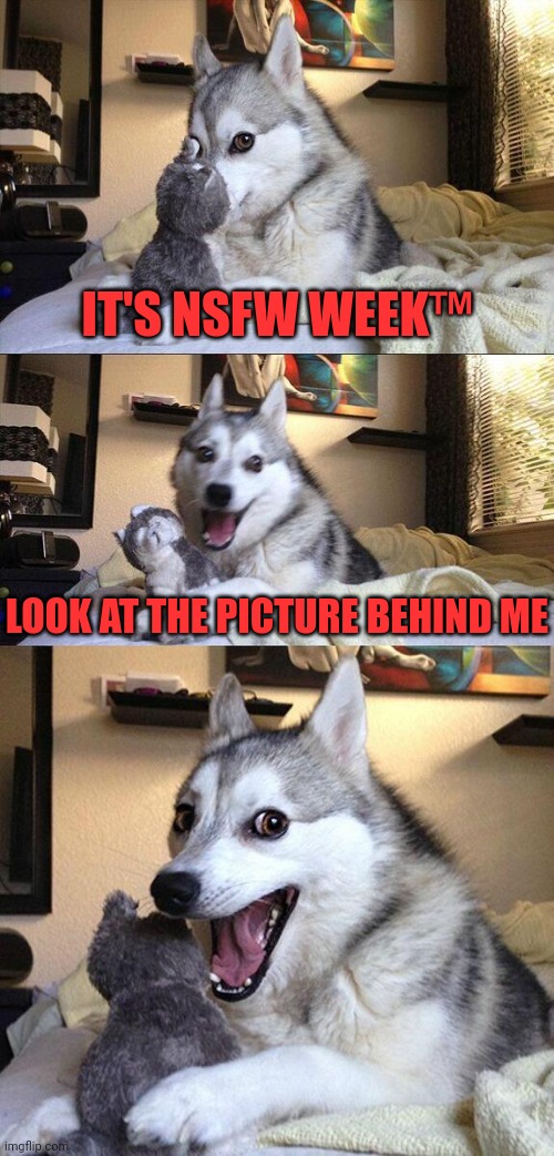 Bad Pun Dog | IT'S NSFW WEEK™; LOOK AT THE PICTURE BEHIND ME | image tagged in memes,bad pun dog,nsfw,nsfw week,nsfw filth week,made you look | made w/ Imgflip meme maker