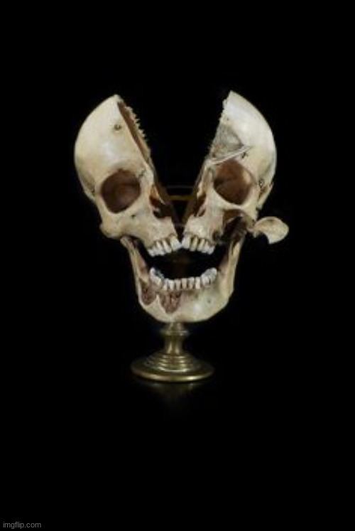 skull | image tagged in skull | made w/ Imgflip meme maker