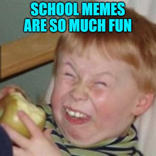 laughing kid | SCHOOL MEMES ARE SO MUCH FUN | image tagged in laughing kid | made w/ Imgflip meme maker