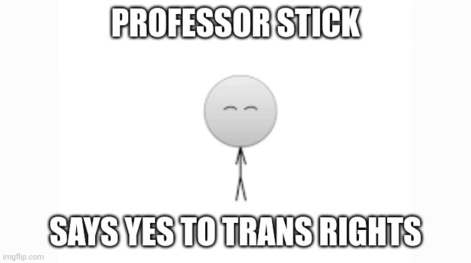 Sticky | PROFESSOR STICK; SAYS YES TO TRANS RIGHTS | image tagged in youtuber,transgender | made w/ Imgflip meme maker