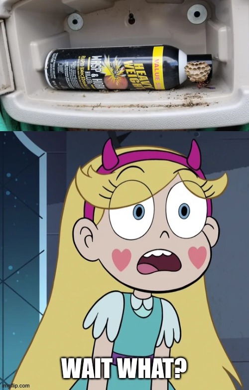 How is this possible?!?! | image tagged in star butterfly wait what,memes,star vs the forces of evil,wasp,funny,what | made w/ Imgflip meme maker