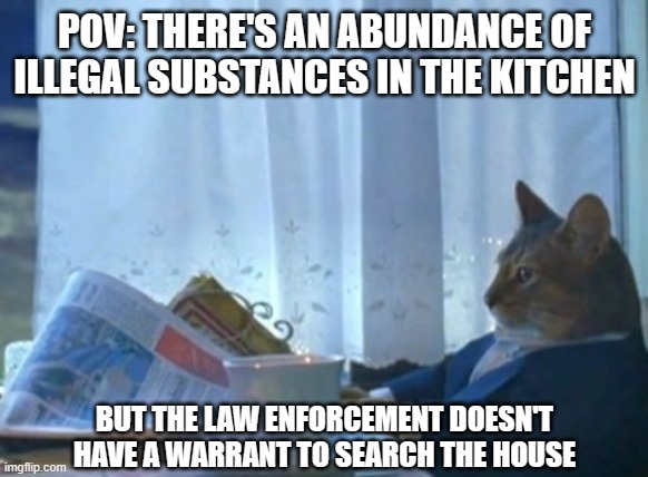 I Should Buy A Boat Cat | POV: THERE'S AN ABUNDANCE OF ILLEGAL SUBSTANCES IN THE KITCHEN; BUT THE LAW ENFORCEMENT DOESN'T HAVE A WARRANT TO SEARCH THE HOUSE | image tagged in memes,i should buy a boat cat | made w/ Imgflip meme maker