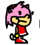 Sunky Amy Rose Meme Template