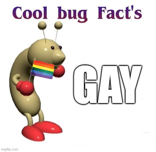 awwwwwww ye | GAY | image tagged in cool bug facts,lgbtq,gay,pride | made w/ Imgflip meme maker