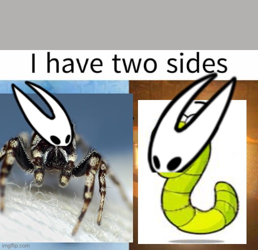 Hornet lore | image tagged in i have two sides,hornet,hollow knight | made w/ Imgflip meme maker