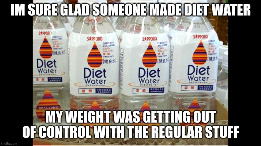 think of the most useless waste of time possible.... TA DA | IM SURE GLAD SOMEONE MADE DIET WATER; MY WEIGHT WAS GETTING OUT OF CONTROL WITH THE REGULAR STUFF | image tagged in diet water | made w/ Imgflip meme maker