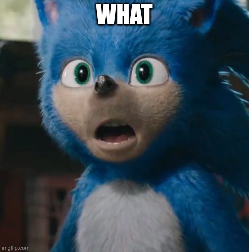Sonic Movie | WHAT | image tagged in sonic movie | made w/ Imgflip meme maker