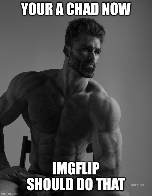 Giga Chad | YOUR A CHAD NOW IMGFLIP SHOULD DO THAT | image tagged in giga chad | made w/ Imgflip meme maker