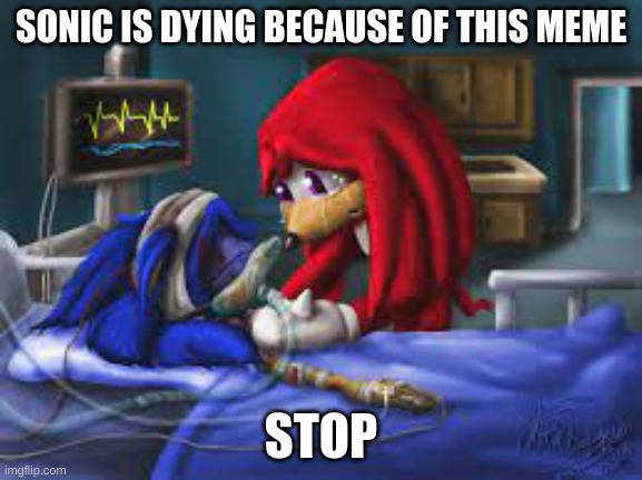 Sonic hospital bed | SONIC IS DYING BECAUSE OF THIS MEME STOP | image tagged in sonic hospital bed | made w/ Imgflip meme maker