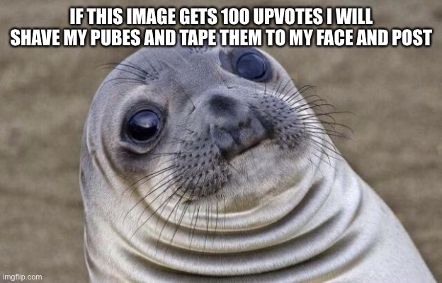 Awkward Moment Sealion | IF THIS IMAGE GETS 100 UPVOTES I WILL SHAVE MY PUBES AND TAPE THEM TO MY FACE AND POST | image tagged in memes,awkward moment sealion | made w/ Imgflip meme maker