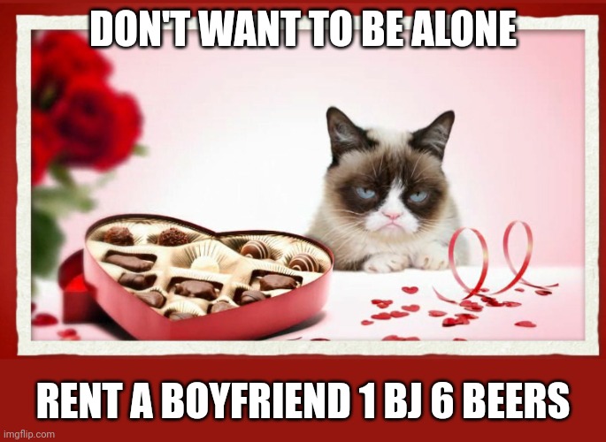 grumpy valentine | DON'T WANT TO BE ALONE; RENT A BOYFRIEND 1 BJ 6 BEERS | image tagged in grumpy valentine | made w/ Imgflip meme maker