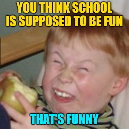 laughing kid | YOU THINK SCHOOL IS SUPPOSED TO BE FUN THAT'S FUNNY | image tagged in laughing kid | made w/ Imgflip meme maker