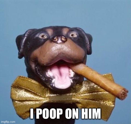 Triumph the Insult Comic Dog | I POOP ON HIM | image tagged in triumph the insult comic dog | made w/ Imgflip meme maker