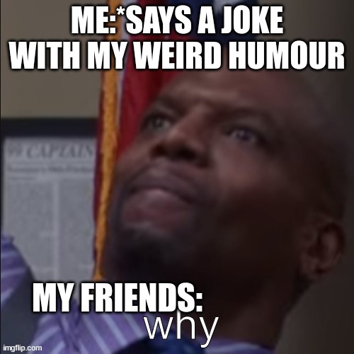 Terry why | ME:*SAYS A JOKE WITH MY WEIRD HUMOUR; MY FRIENDS: | image tagged in terry why | made w/ Imgflip meme maker