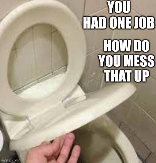 Had one job | YOU HAD ONE JOB; HOW DO YOU MESS THAT UP | image tagged in had one job | made w/ Imgflip meme maker