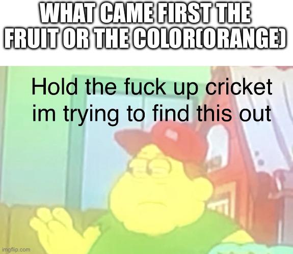 Hold the fuck up cricket im trying to find this out | WHAT CAME FIRST THE FRUIT OR THE COLOR(ORANGE) | image tagged in hold the fuck up cricket im trying to find this out | made w/ Imgflip meme maker